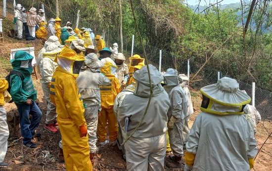 Apoyo a la producción apícola para la dinamización socioeconómica del Chaco Chuquisaqueño