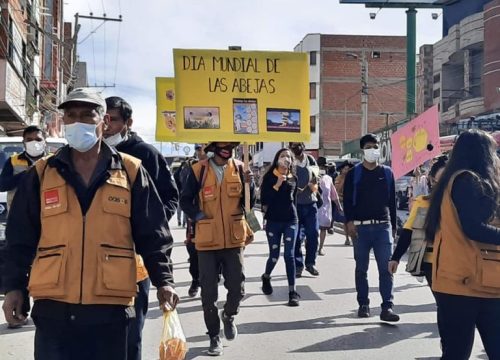 Apoyo al fortalecimiento sostenible de la cadena de valor apícola en dos Municipios del Chaco de Chuquisaca, promoviendo la equidad de género.