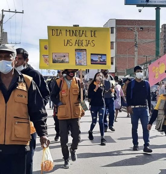 Apoyo al fortalecimiento sostenible de la cadena de valor apícola en dos Municipios del Chaco de Chuquisaca, promoviendo la equidad de género.