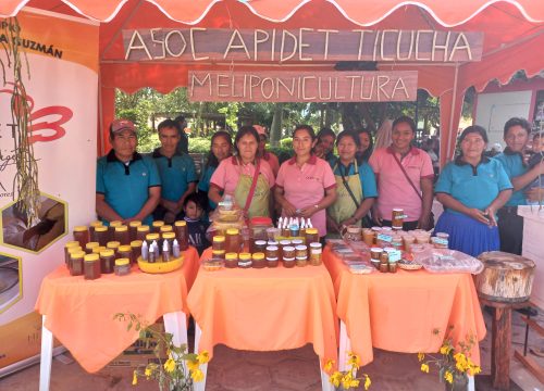 APICULTURA SOSTENIBLE, PROMOVIENDO LA EQUIDAD DE GÉNERO Y RESILIENTE FRENTE AL CAMBIO CLIMÁTICO