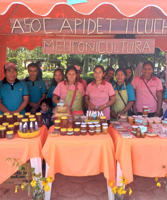 APICULTURA SOSTENIBLE, PROMOVIENDO LA EQUIDAD DE GÉNERO Y RESILIENTE FRENTE AL CAMBIO CLIMÁTICO