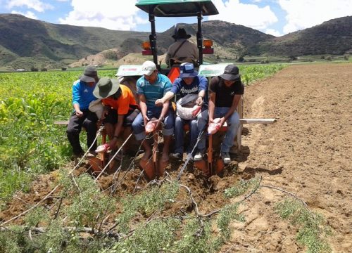 Capacitación y Asistencia Técnica En Buenas Prácticas Agrícolas y Manejo Integrado De Cultivos (Mic)