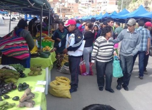 ECONOMÍA SOCIAL SOLIDARIA EN EL DISTRITO 7 – SUCRE