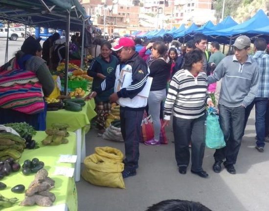 ECONOMÍA SOCIAL SOLIDARIA EN EL DISTRITO 7 – SUCRE