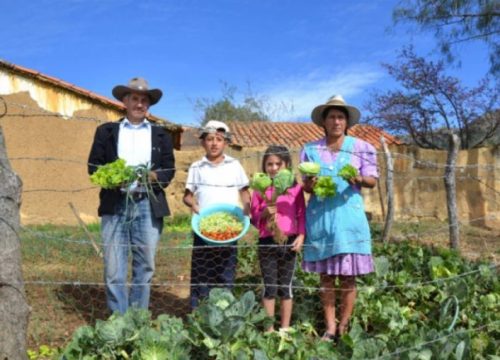 Área de Desarrollo Alcalá