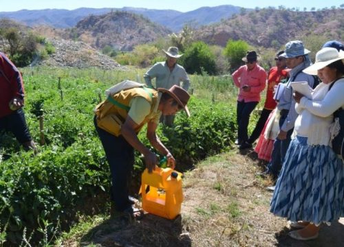 DINAMIZACIÓN SOCIOPRODUCTIVA EN EL MUNICIPIO DE PRESTO