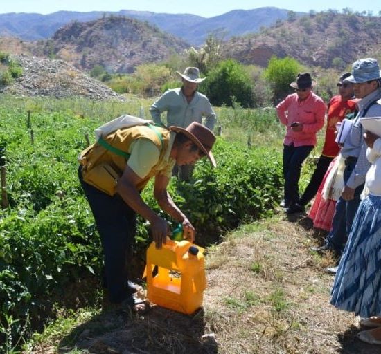 DINAMIZACIÓN SOCIOPRODUCTIVA EN EL MUNICIPIO DE PRESTO